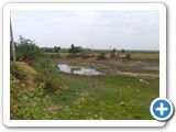 Dharmarajakulam before restoration 30 June 2017